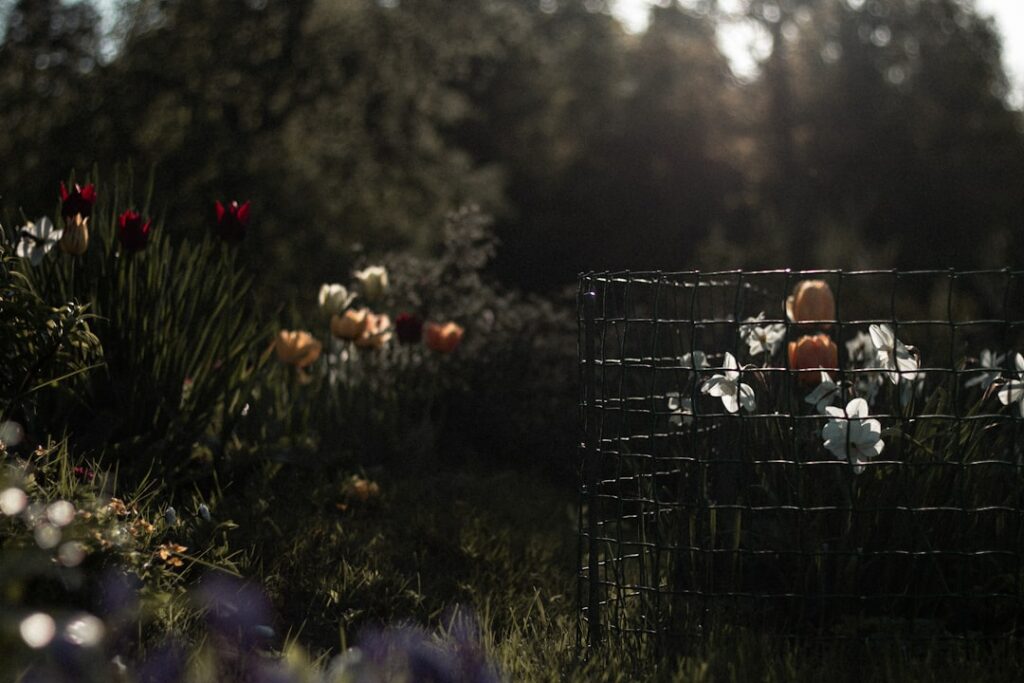 Rodentech | Dératisation, désinsectisation & désinfection